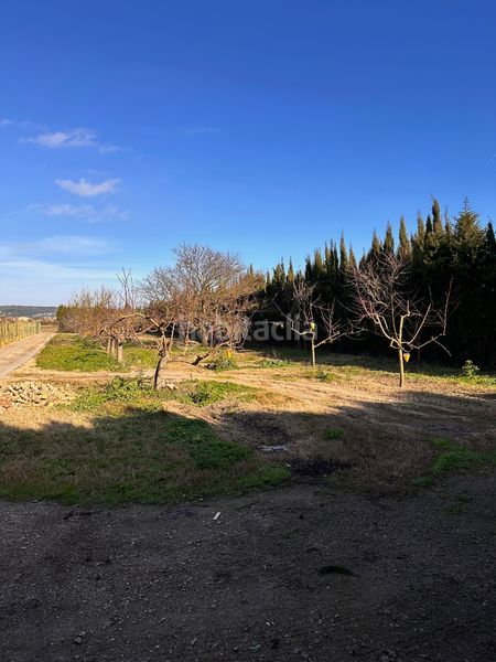 Foto 3ce65062-9b4e-452c-a725-01cc22715416. Finca rústica a camí dels coixins 192 a Els Griells Estartit