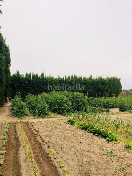 Foto 4c3a6b79-247c-4aaf-977e-08484f2d7cc0. Finca rústica a camí dels coixins 192 a Els Griells Estartit