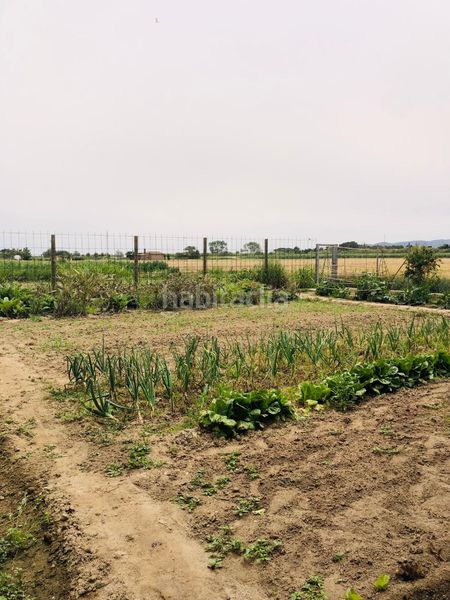 Foto c6b18d3c-468b-431f-bfe4-5e4922bcb3ce. Finca rústica a camí dels coixins 192 a Els Griells Estartit