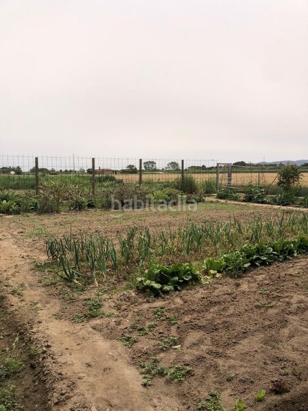 Foto ecf90bce-b64b-45cd-9614-e8f2a3ef8309. Finca rústica a camí dels coixins 192 a Els Griells Estartit