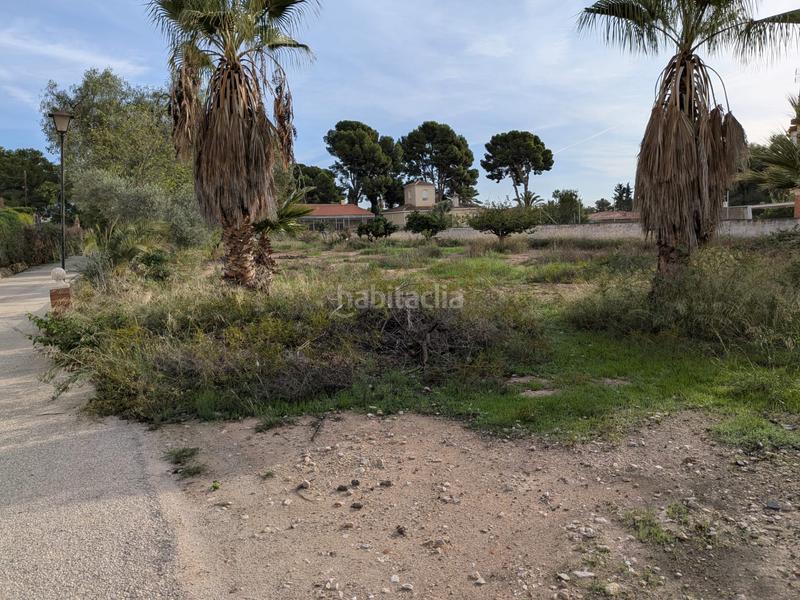 Foto 0ca87d67-d00c-44ce-bfbd-60bd32fee21b. Terrain résidentiel dans carretera de agost 77 dans Sant Vicent del Raspeig