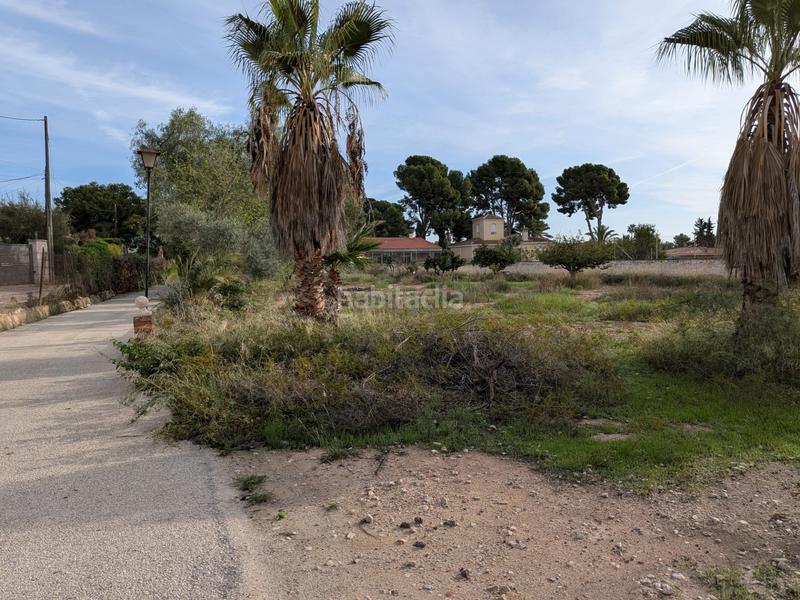 Foto 2d2ea876-ceae-41de-b34f-9543987a00ea. Terrain résidentiel dans carretera de agost 77 dans Sant Vicent del Raspeig