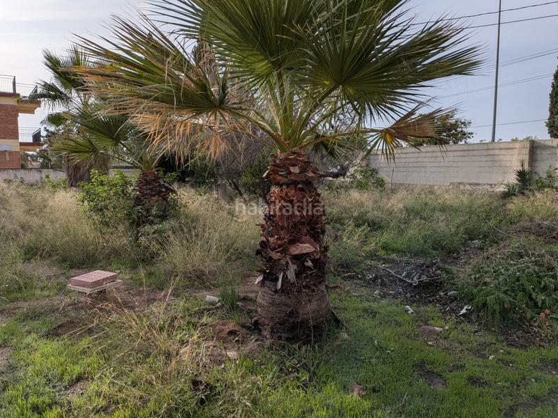 Foto b5b6b000-5255-4a31-9ee4-775b4ac00df4. Terrain résidentiel dans carretera de agost 77 dans Sant Vicent del Raspeig