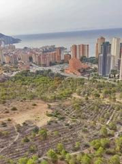 Piccolo appartamento in Playa Poniente. Benidormapartamento