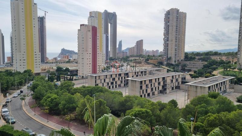 Foto a7cec546-c245-4dff-b077-1fc4e81d0c56. Piccolo appartamento con piscina in Playa Poniente Benidorm