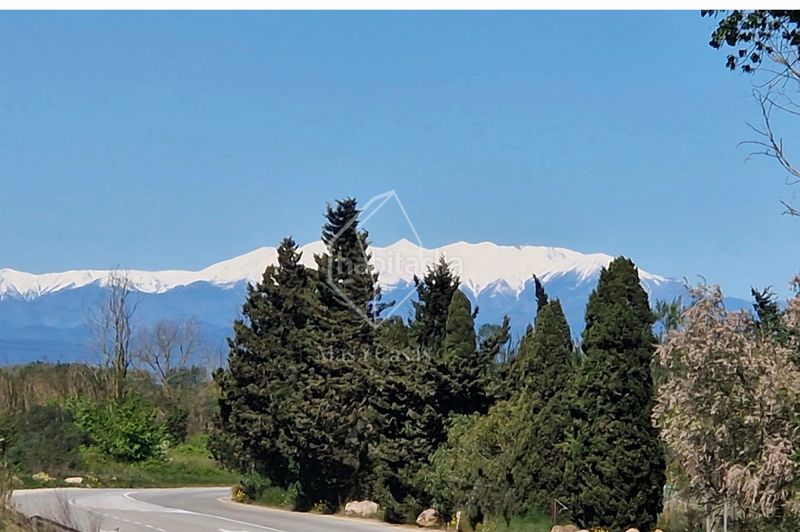 Foto ac8d32c8-5ac9-4c66-9e99-8bdcfbb5eece. Pis a carrer balsa 5 a Empúries Escala (L´)