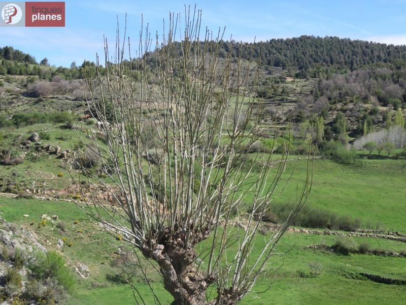 Foto bf8e9ca4-ad9b-4ded-ab19-f5cc0b4560ca. Country house in Vansa i Fórnols (La)