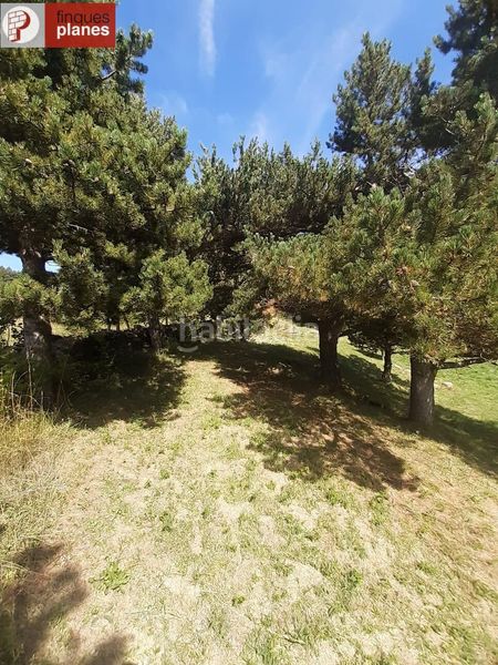 Foto 1d9962d0-b805-4fd7-a59b-df58fbd75637. Casa amb aparcament a Valls de Valira (Les)