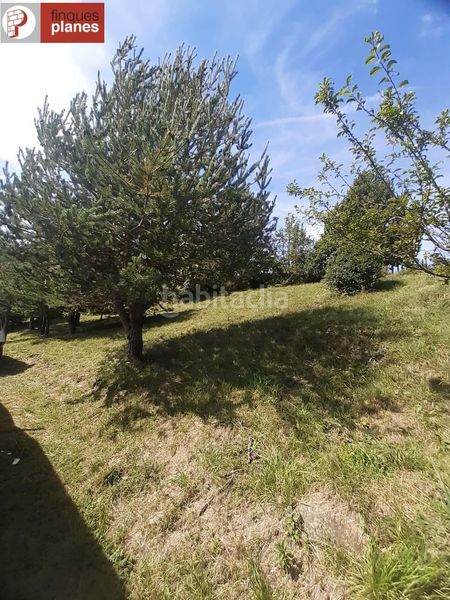 Foto 5ae7a9f4-fe67-484d-81c4-93a5e8781df8. Casa amb aparcament a Valls de Valira (Les)