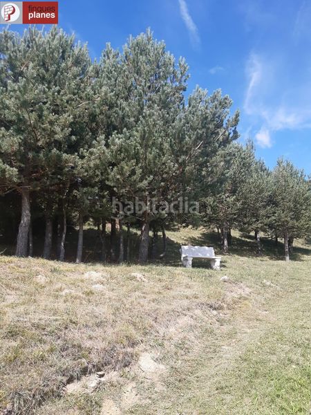 Foto 72efbe44-465b-4fd0-b937-9f6e131a018b. Casa amb aparcament a Valls de Valira (Les)