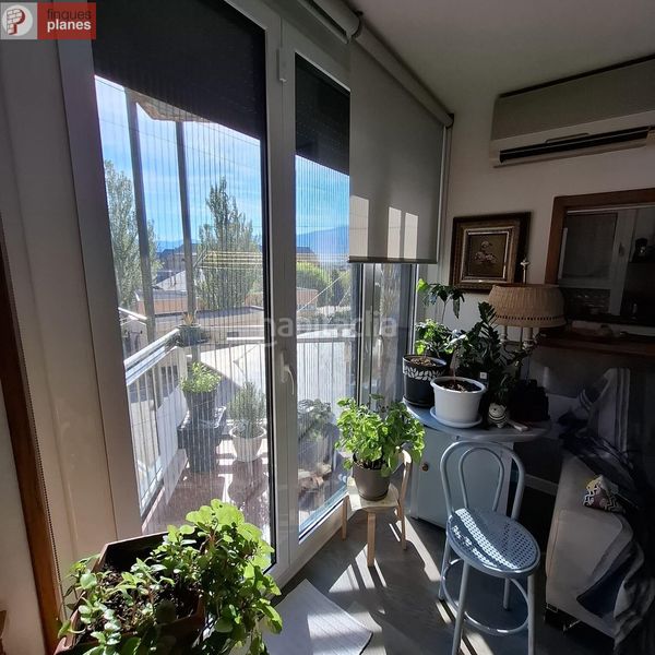 Foto a35b7dfd-dab5-4457-bb98-63eb3b5e68b0. Pis a Seu d´Urgell (La)