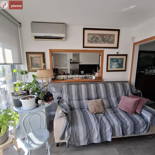 Foto b02e81cd-08a2-4b07-a159-a357f493e279. Pis a Seu d´Urgell (La)