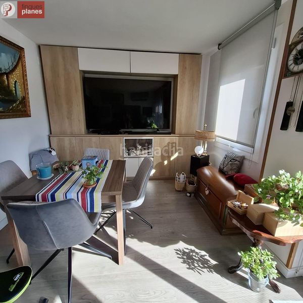 Foto cd0d4134-0947-40a8-a0d3-d73a2eaf47c1. Pis a Seu d´Urgell (La)