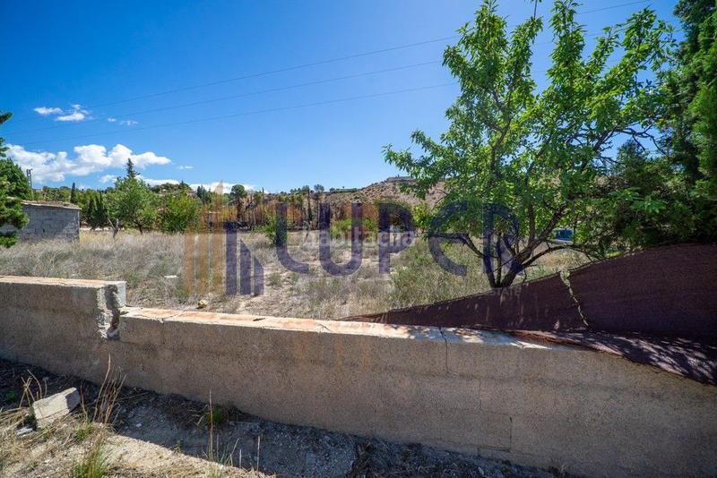 Foto 3e26f6fd-278c-45fe-aaa0-58a5c7712a5e. Terreny residencial a Cañada del Fenollar Alicante
