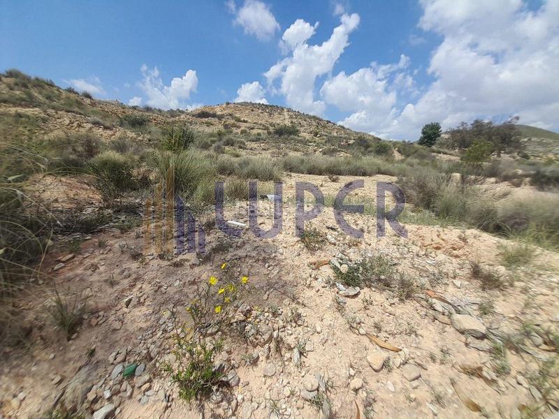 Foto d5e16686-ce73-4690-ac06-c5b32c177bda. Terreno residencial en Villamontes-Boqueres Sant Vicent del Raspeig