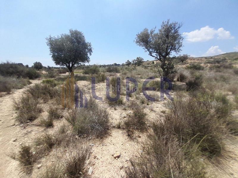 Foto 5ed87448-87b3-49ae-ae80-c5b5222ac850. Terrain résidentiel dans Villamontes-Boqueres Sant Vicent del Raspeig