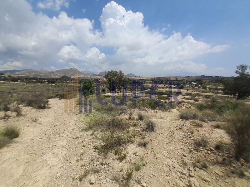 Foto 6a435e5e-38ce-4214-9c33-6f9deca9b669. Terreno residenziale in Villamontes-Boqueres Sant Vicent del Raspeig