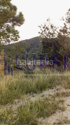 Foto ed5240fc-2efe-4470-8ab2-2f73745fd355. Casa a Xixona