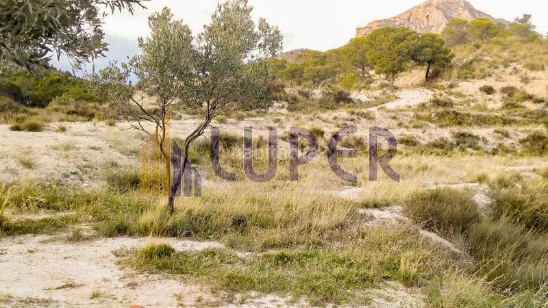 Foto efebbe16-3f45-483d-a4e6-f14f2809ef03. Casa a Xixona