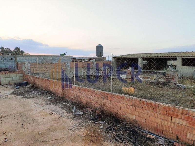 Foto d18e7b79-dabe-4fca-a409-9df704b07282. Bauernhof in Centro Fuente Álamo de Murcia
