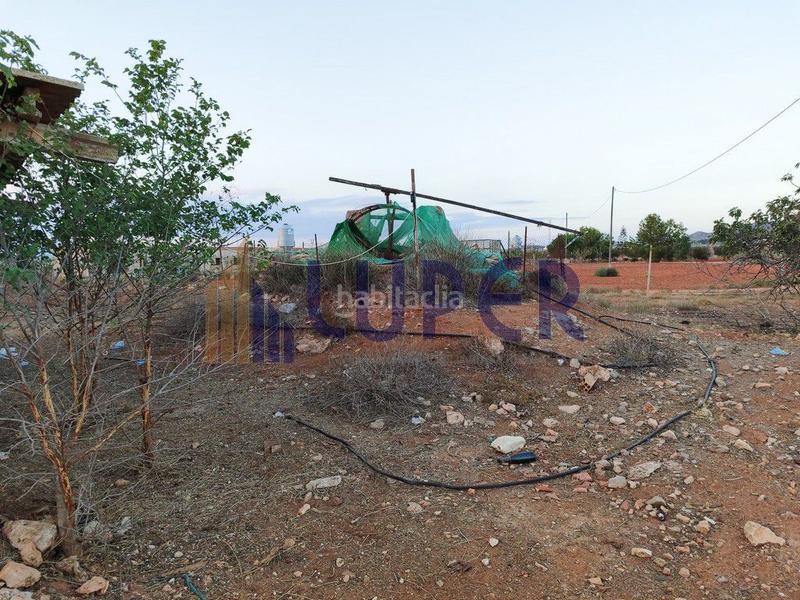 Foto 400d365b-0a29-49fa-a6c3-da451fb3f737. Masía en Centro Fuente Álamo de Murcia