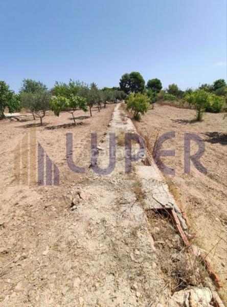 Foto 538c5e84-00dd-45bf-aeb9-4e7d26f279cd. Terreno residencial en Villamontes-Boqueres Sant Vicent del Raspeig