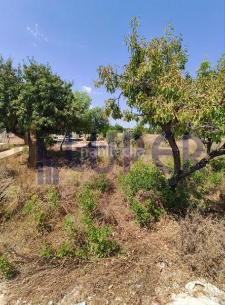 Foto bcdce849-c39d-45f3-93c2-a586ec902f29. Terreno residencial en Villamontes-Boqueres Sant Vicent del Raspeig