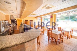 Business premise in Parque Lo Torrent