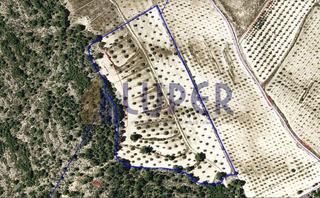 Rural plot in Las Trescientas-San Francisco-Ciudad Vergel