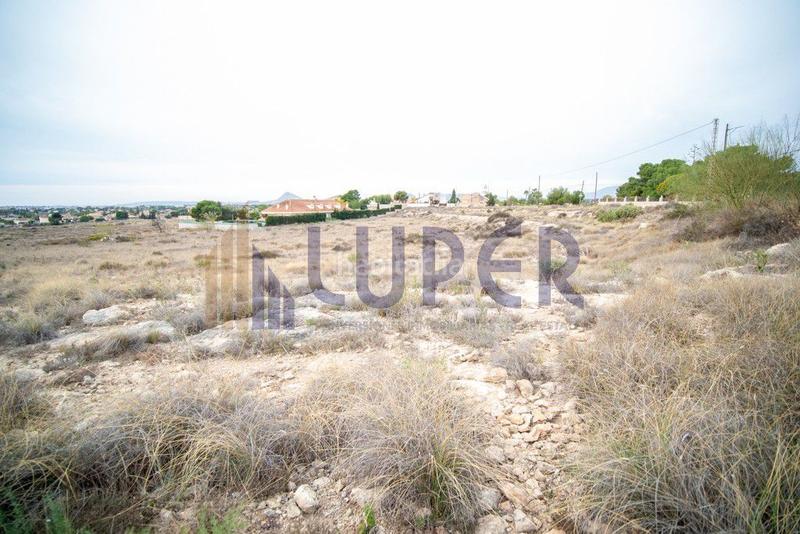 Foto 04ab0c3d-61ca-43ee-a552-5700bbffc094. Fondo rustico in Los Girasoles Sant Vicent del Raspeig