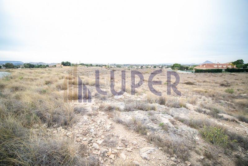 Foto 635289b7-5ab9-485f-8caf-3a14494be376. Landgut in Los Girasoles Sant Vicent del Raspeig