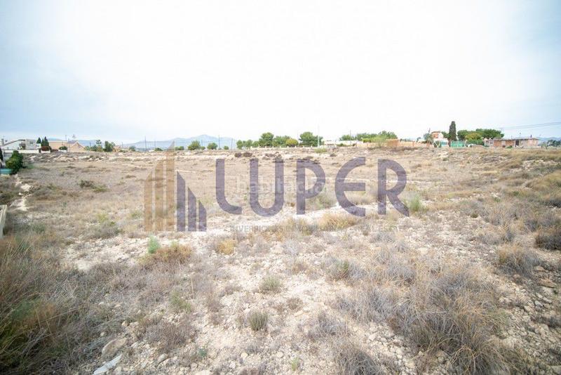 Foto 1e7fea9e-7b58-4324-b72b-114004f22f06. Finca rústica en Los Girasoles Sant Vicent del Raspeig