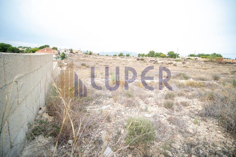 Foto a5968d15-46f8-46e2-b2ea-f3917e68aa91. Finca rústica en Los Girasoles Sant Vicent del Raspeig