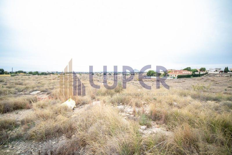Foto e58b4247-03ce-407d-88c1-74277b51e2ee. Finca rústica en Los Girasoles Sant Vicent del Raspeig