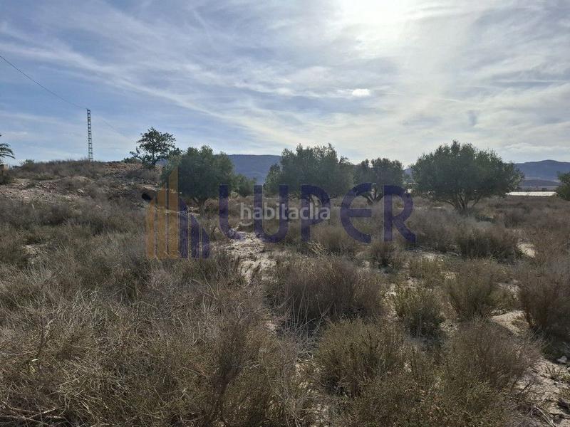 Foto 3b7c1c2b-9cfa-4c23-bbab-bbf893a13468. Fondo rustico in Agost