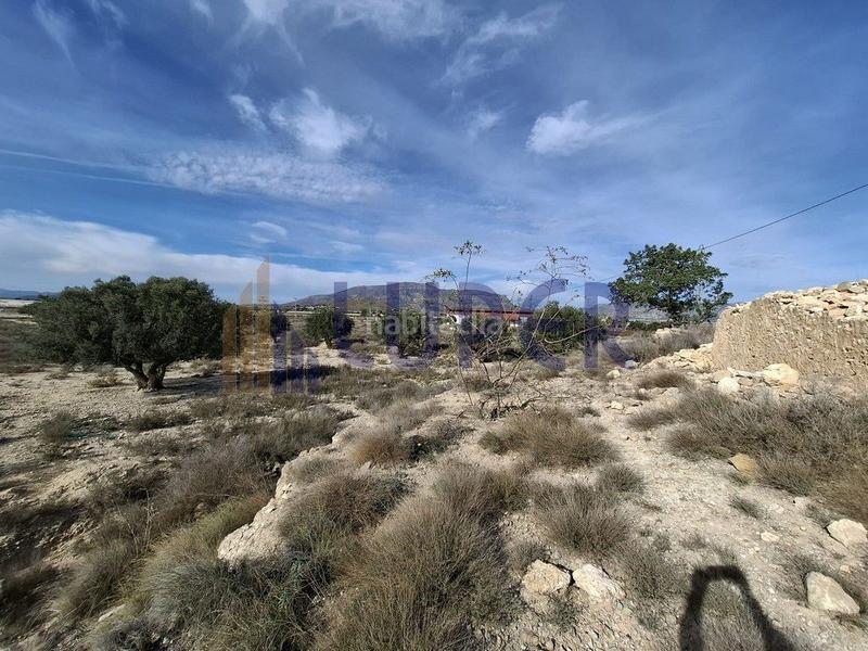 Foto 3c84c8cc-93c0-4b10-96d0-ce964ef26314. Fondo rustico in Agost