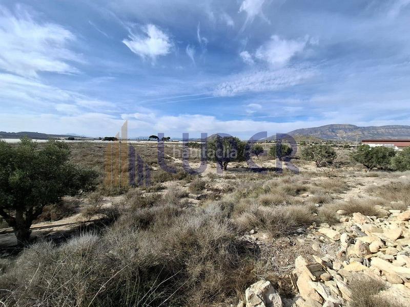 Foto 881de39d-5051-47b2-99cc-f6f7b8967d8f. Propriété dans Agost