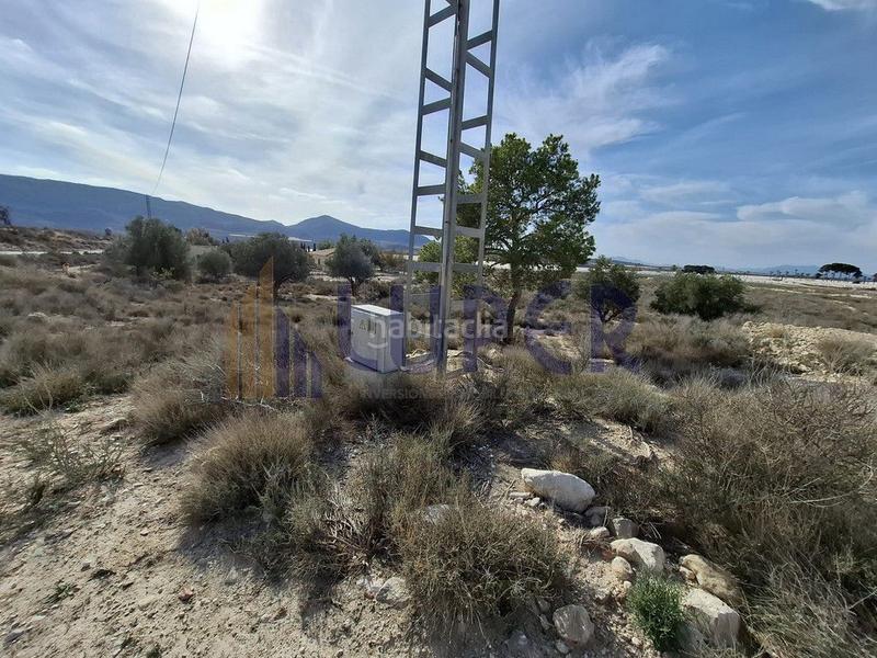 Foto 51ca0bfd-832a-4098-a63e-b64d46b73028. Finca rústica a Agost