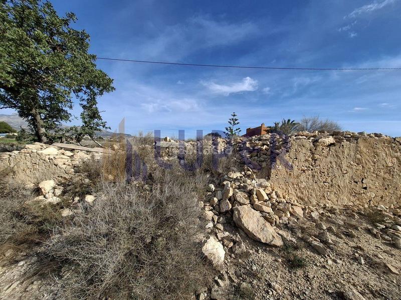 Foto 5d3e53e2-21da-47a7-bc48-5c82cb8b6280. Finca rústica a Agost