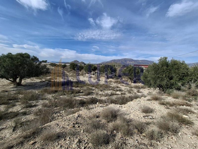 Foto dc791316-9c2e-4d09-8232-f0669953685f. Finca rústica a Agost