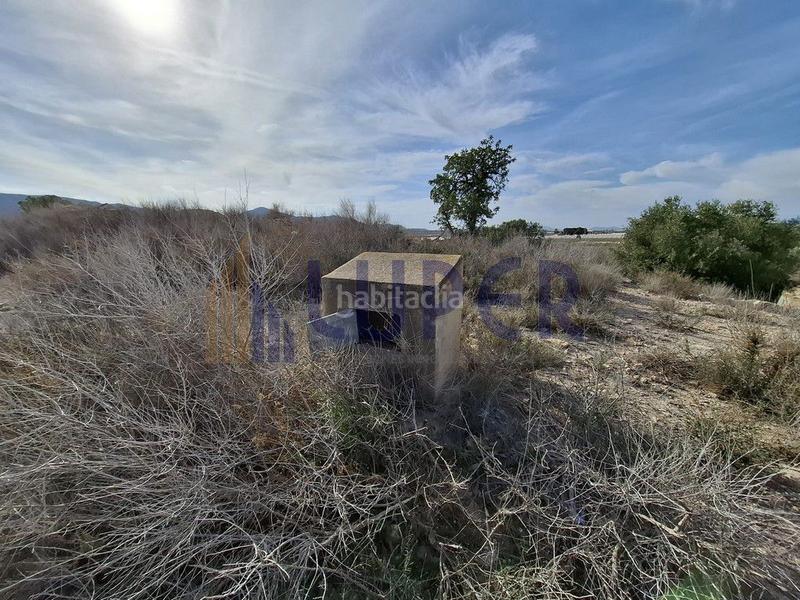 Foto e4589356-3883-4dc7-b1c3-3260a664ecbf. Finca rústica a Agost