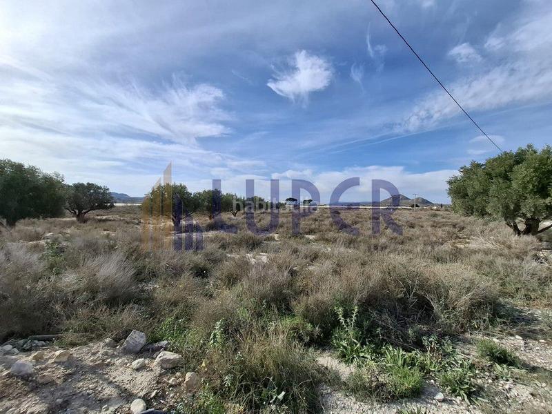 Foto 92d1e6df-0ab3-4bb7-aa66-36cb942e35eb. Finca rústica en Agost