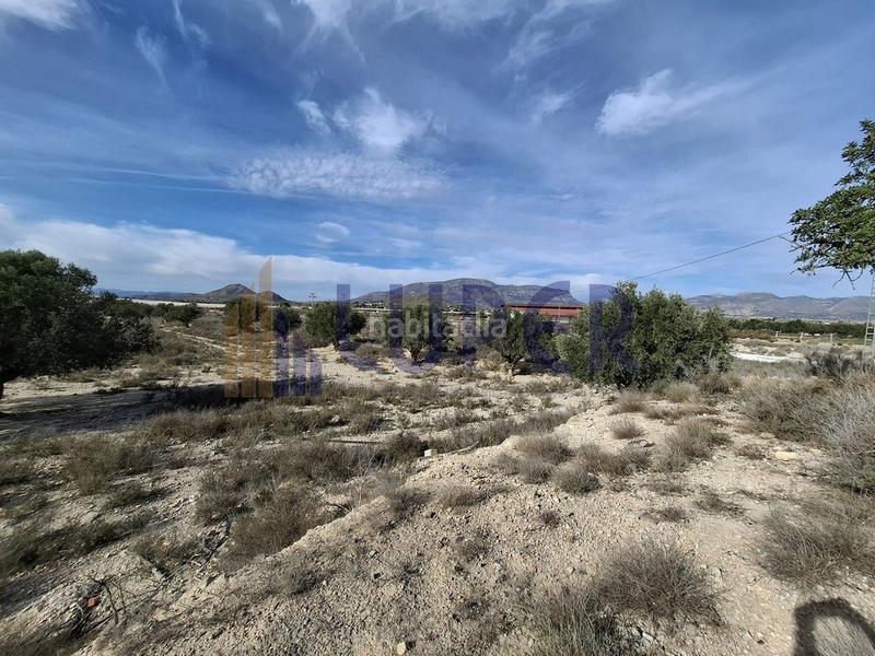 Foto a932127a-2449-474a-8ff4-0a0960daa111. Finca rústica en Agost