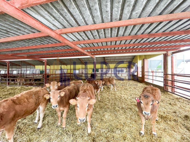 Foto 00707ccd-3e2b-415c-9194-7a4749a5a787. Casale in Pla de la Vallonga Alicante