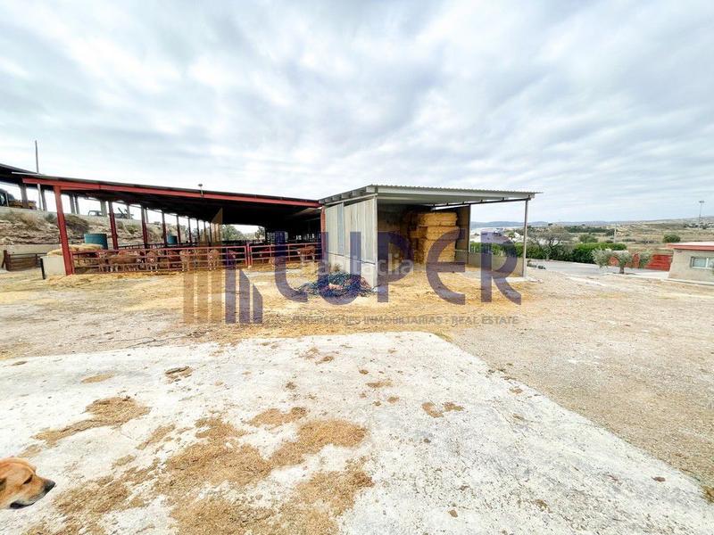 Foto 1721944f-25f7-4bb1-98eb-905b2258a06f. Casale in Pla de la Vallonga Alicante