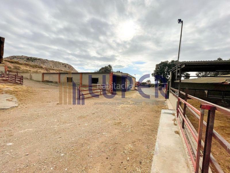 Foto 199489fa-577f-4f5d-9760-8e73bb5c1332. Casale in Pla de la Vallonga Alicante