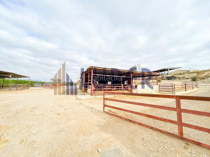 Foto 20f72a01-4b18-459d-86af-e0402ae315c7. Casale in Pla de la Vallonga Alicante