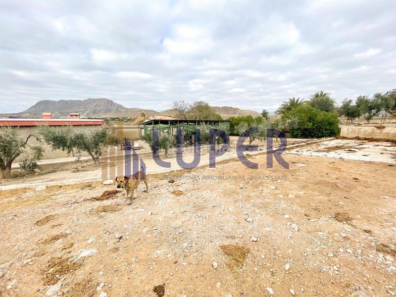 Foto 46125414-2b11-46de-a583-fc8b35210ab8. Casale in Pla de la Vallonga Alicante