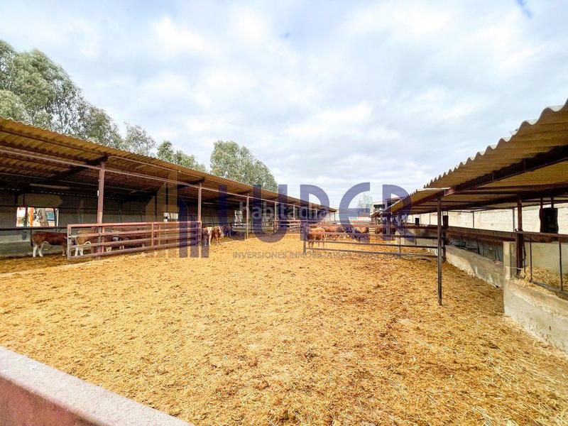 Foto 4e3da772-908c-4b8b-9c23-0ac8e3139280. Casale in Pla de la Vallonga Alicante