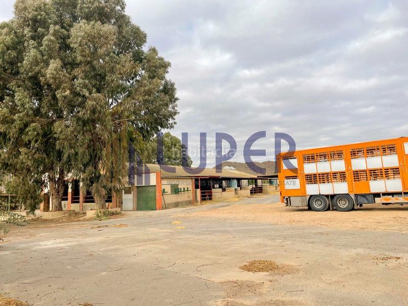 Foto 6402ec61-50b4-42bd-8c66-f4cfdb678959. Casale in Pla de la Vallonga Alicante